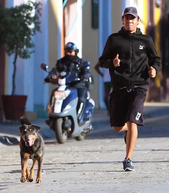 perro mazapan 2