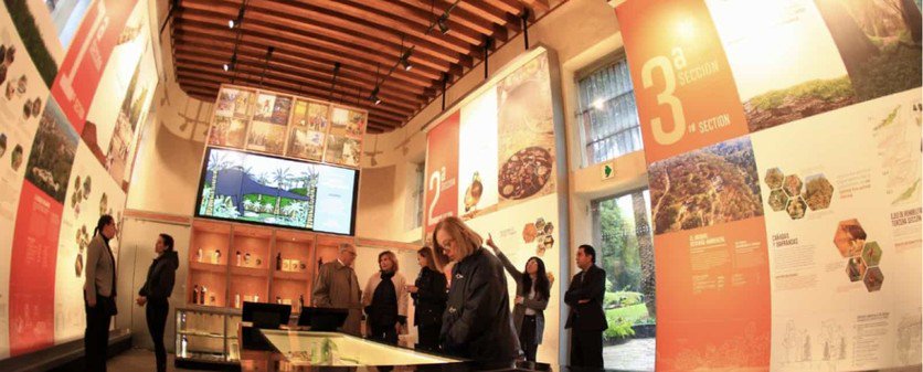 MUSEO3