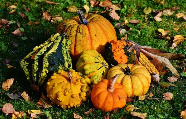 calabazas