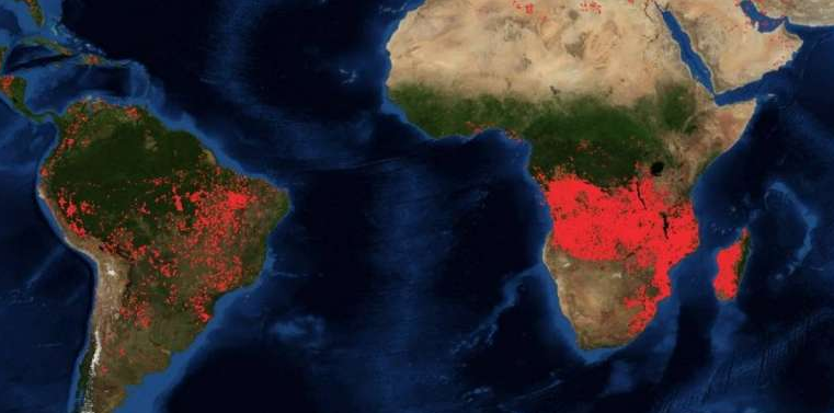congo2