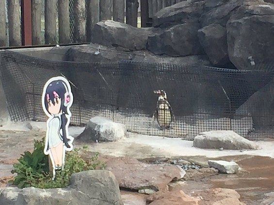 Grape kun