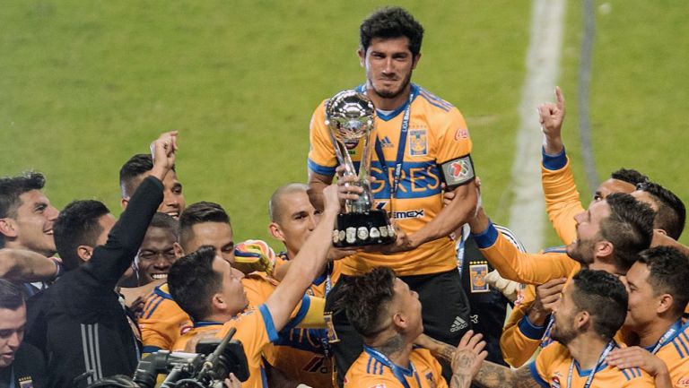 tigres